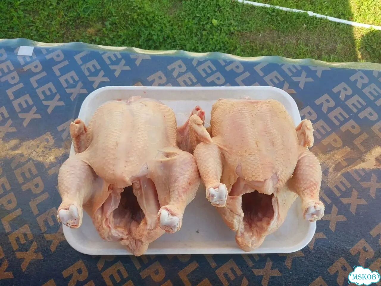Куры бройлеры тушки мясо фото 1