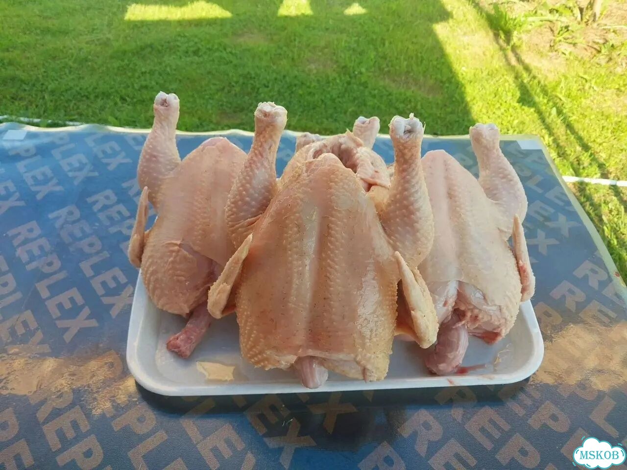 Куры бройлеры тушки мясо фото 2