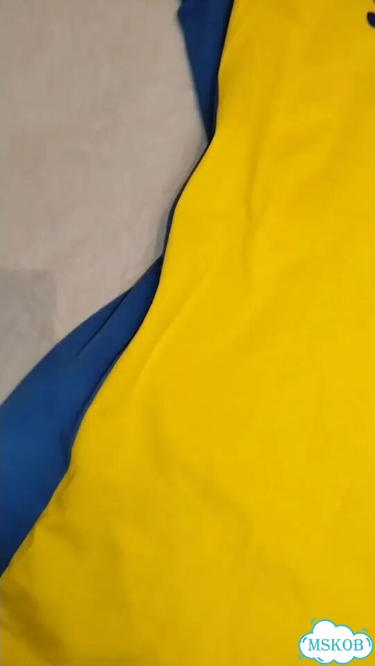 Женская футболка сборная Швеции по футболу фото 1
