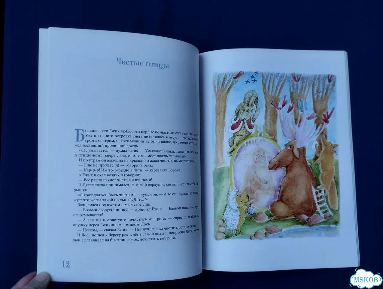 С. Козлов Как Ежик, Ослик и Медвежонок встречали фото 5