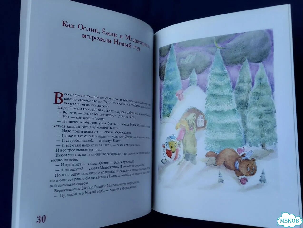 С. Козлов Как Ежик, Ослик и Медвежонок встречали фото 8