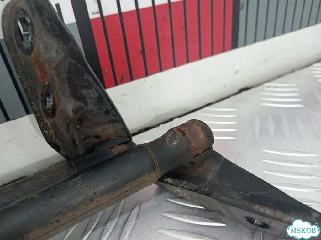 Амортизатор крышки багажника Fiat Sedici (FY) фото 4