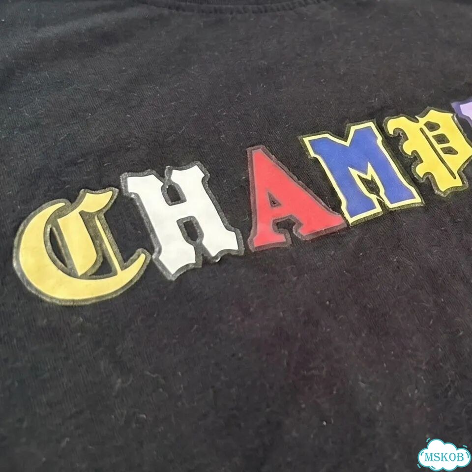 Футболка Champion Gohic Font Logo редкая фото 2
