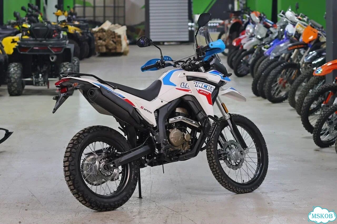 Loncin DS250, 2026, 10 км фото 5