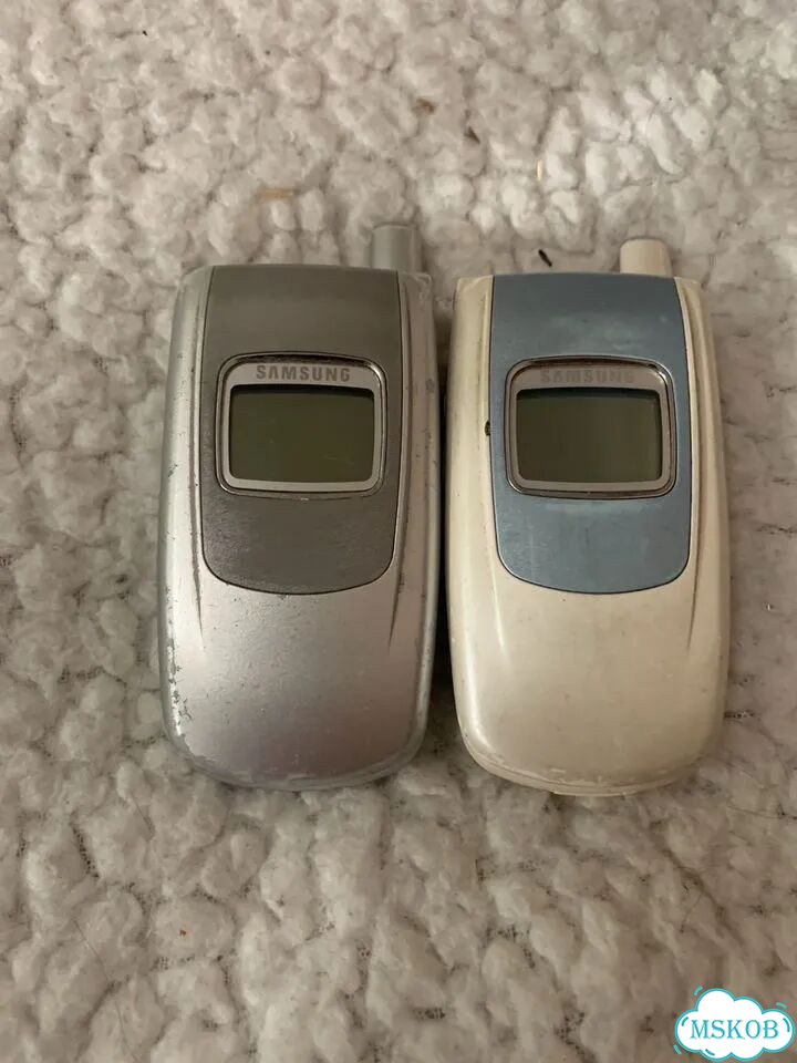Samsung SGH-S500, 1 SIM фото 1
