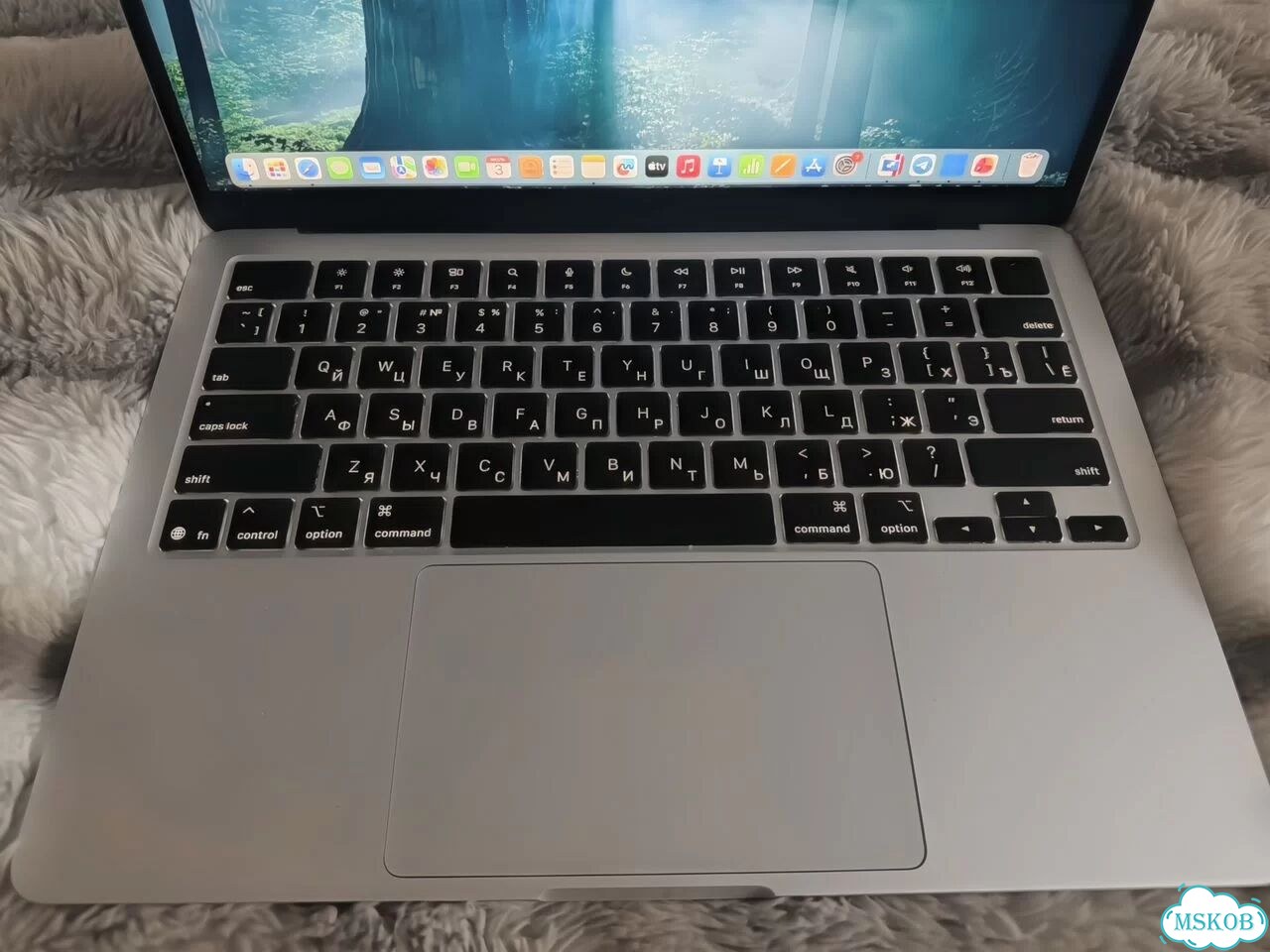 MacBook Air (2025) 13 M4 16Gb/256Gb Silver фото 3