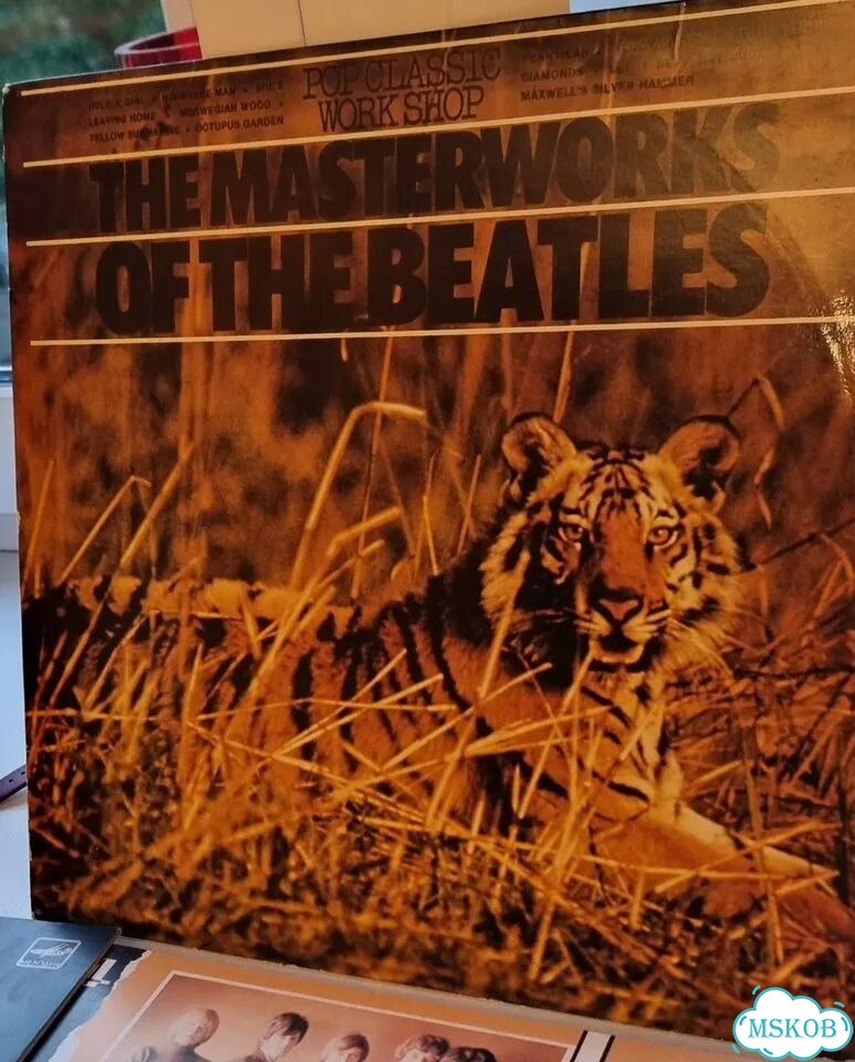 Виниливая пластинка Beatles фото 1