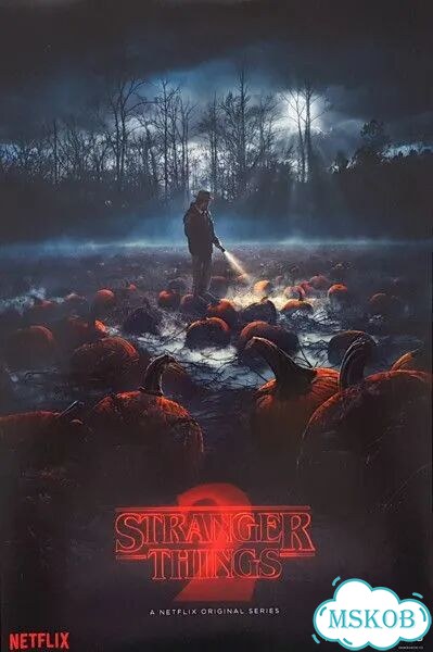 OST–Stranger Things: Music From The Netflix(2lp) фото 3