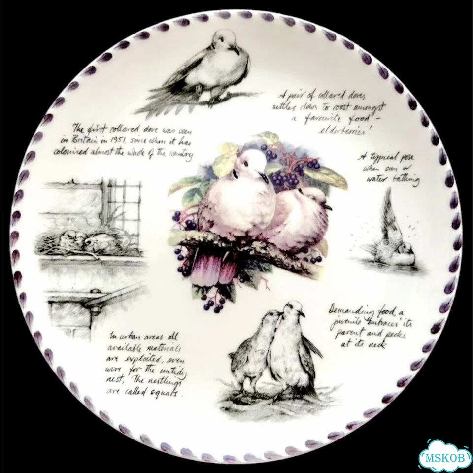 Тарелки Wedgwood Птицы Записки орнитолога фото 2