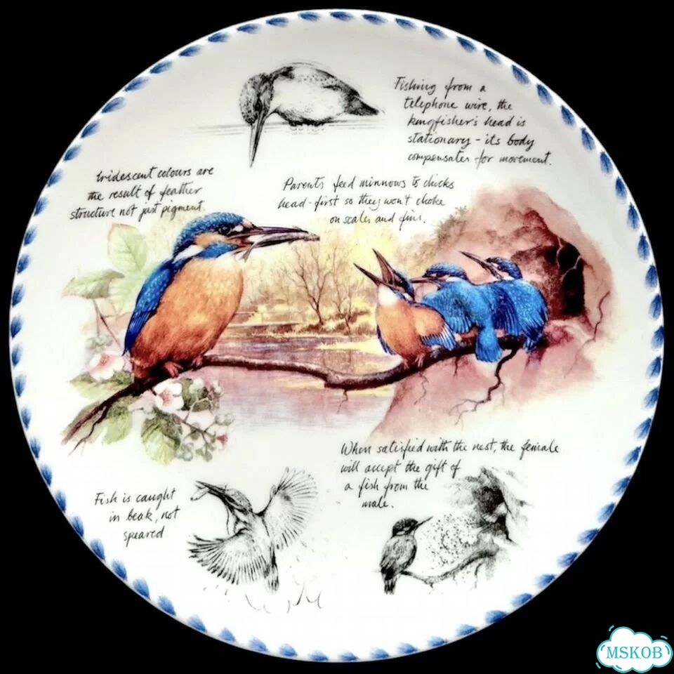 Тарелки Wedgwood Птицы Записки орнитолога фото 4
