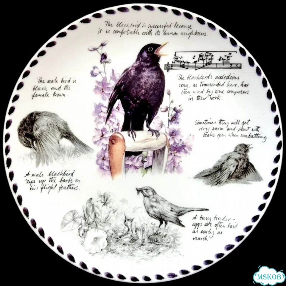 Тарелки Wedgwood Птицы Записки орнитолога фото 5