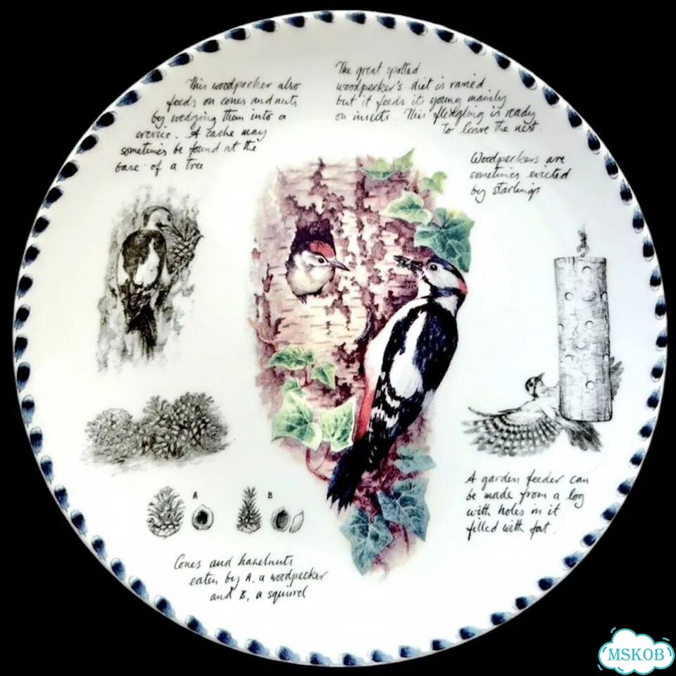 Тарелки Wedgwood Птицы Записки орнитолога фото 9