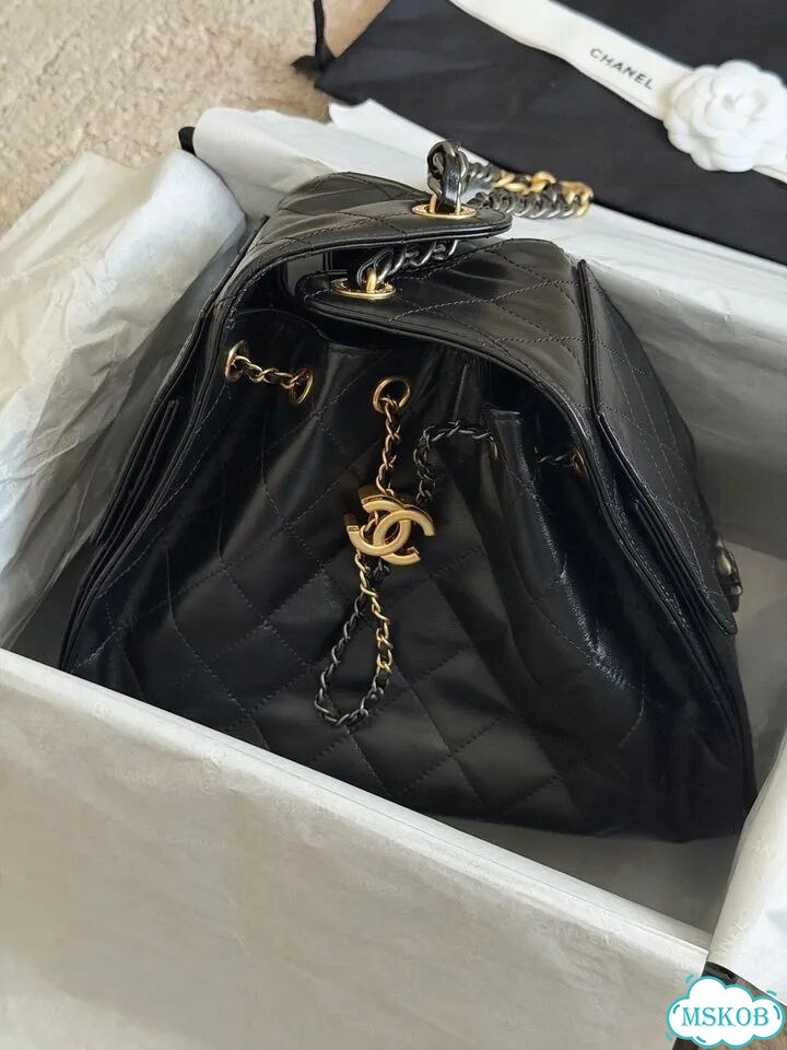 Сумка Chanel 25 small hobo bag фото 3
