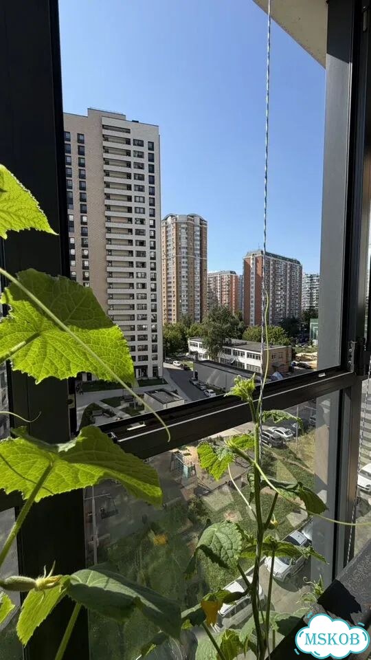 1-к. квартира, 38,9 м², 7/22 эт. фото 20