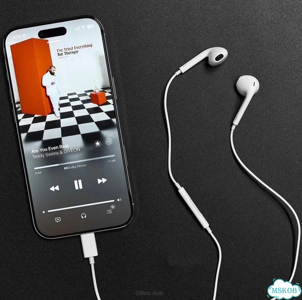 EarPods с разъёмом USB-C фото 4