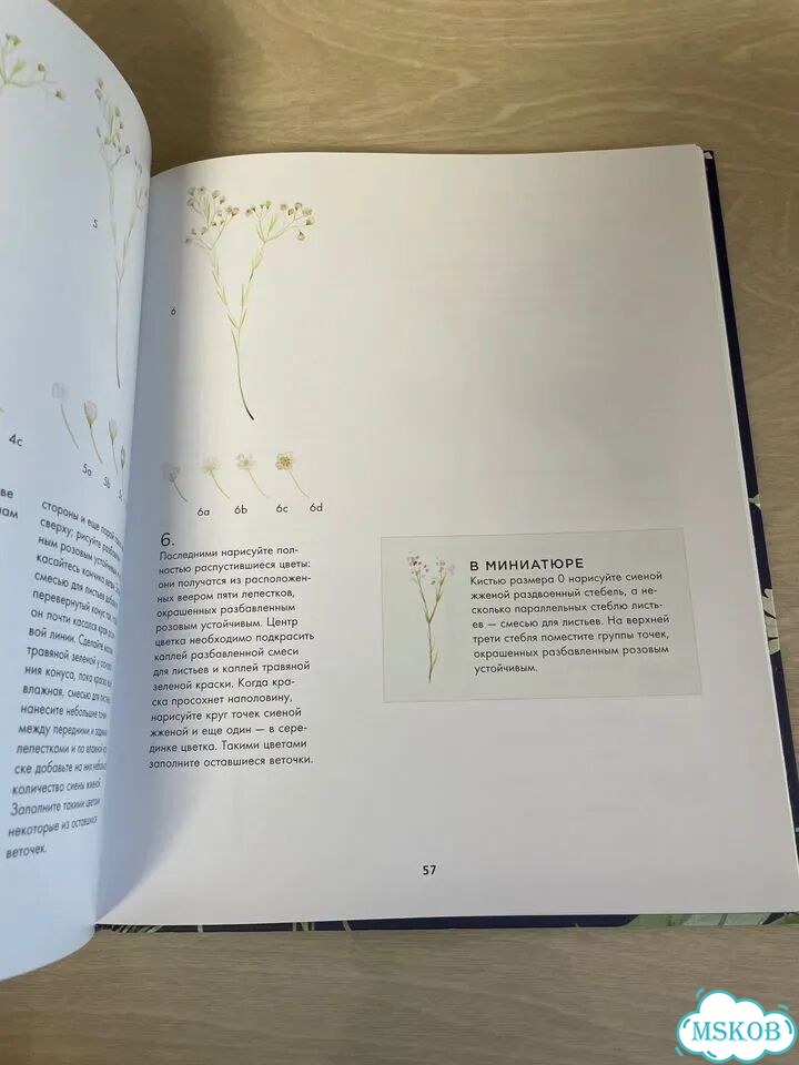 Botanical painting. курс рисования акварелью фото 4