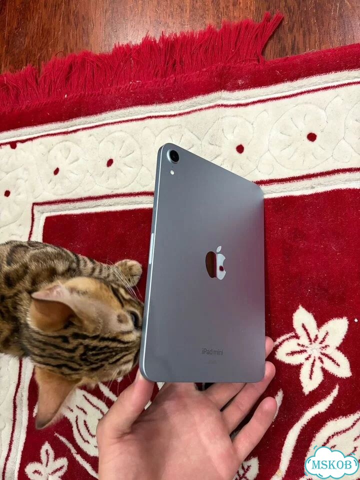 iPad mini 7 128gb фото 2