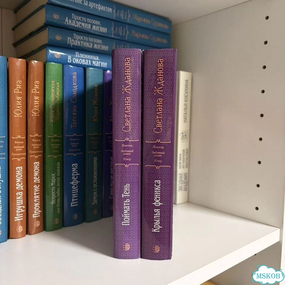 Светлана Жданова, серия книг Невеста демона фото 3