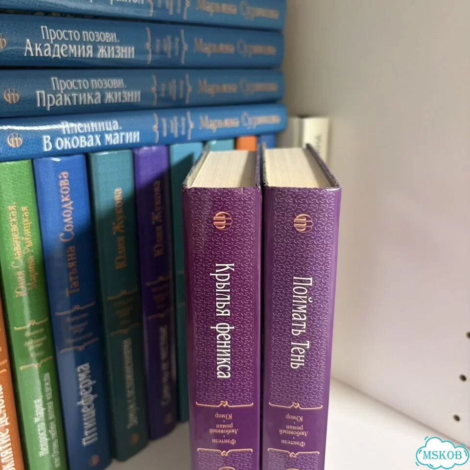 Светлана Жданова, серия книг Невеста демона фото 5