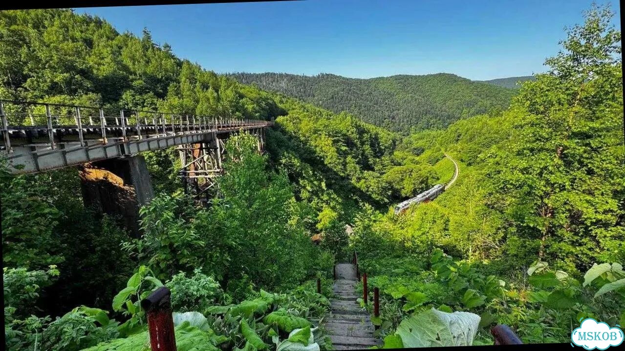 На Сахалин 8 дн Экскурсионное обслуживание фото 7