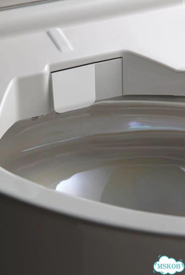 Крышка-биде Toto washlet SX TCF896CG#NW1 с дистанционным управлением фото 5