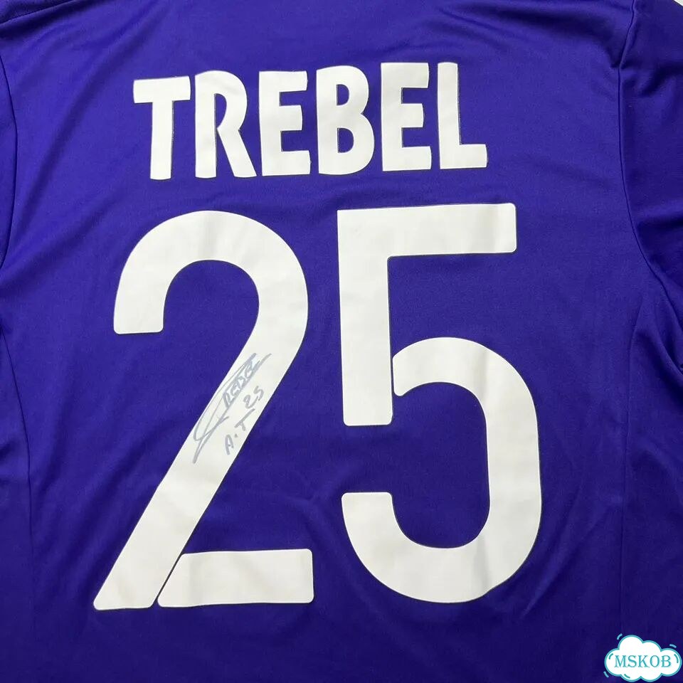 Футболка Adidas Anderlecht Trebel оригинал фото 4