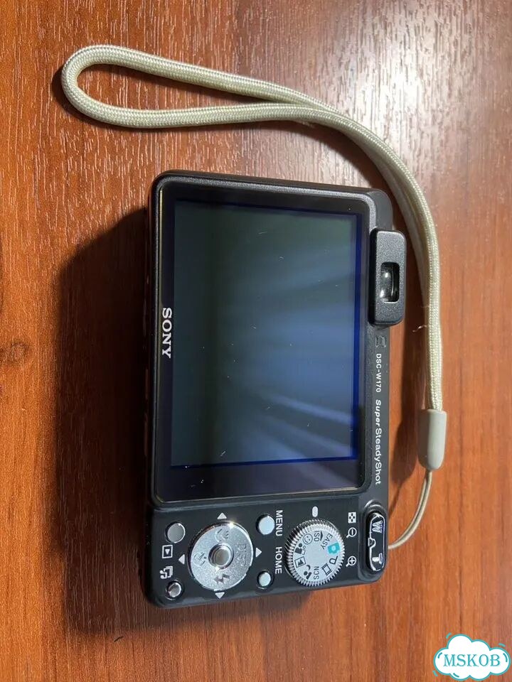 Sony syber shot dsc-w170 фото 2