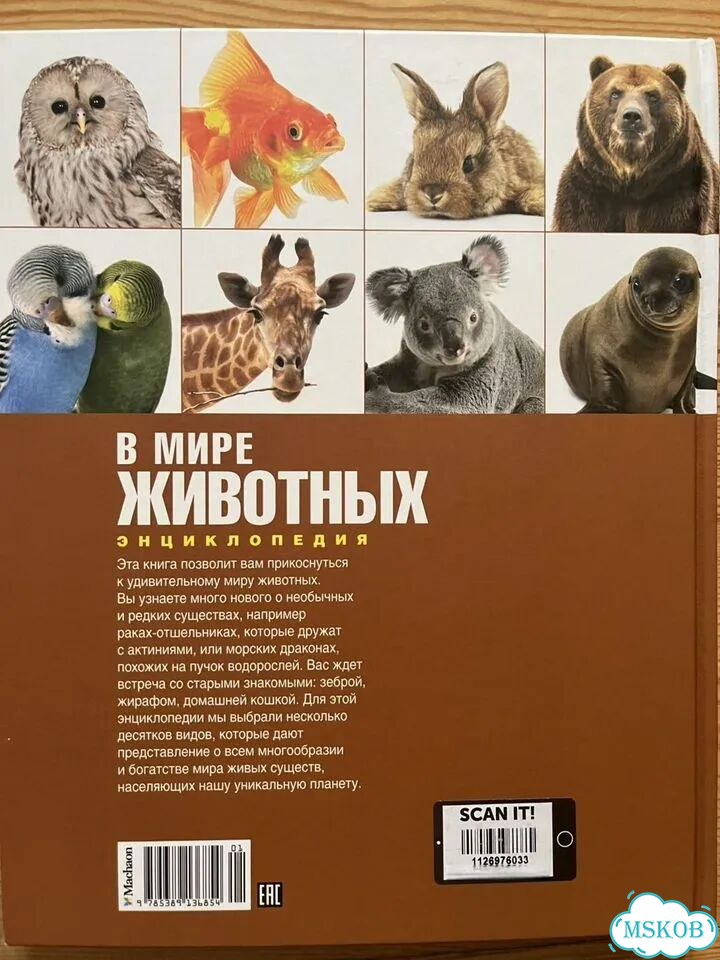 В мире животных. Энциклопедия фото 2