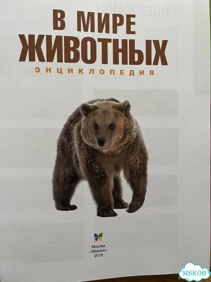 В мире животных. Энциклопедия фото 3