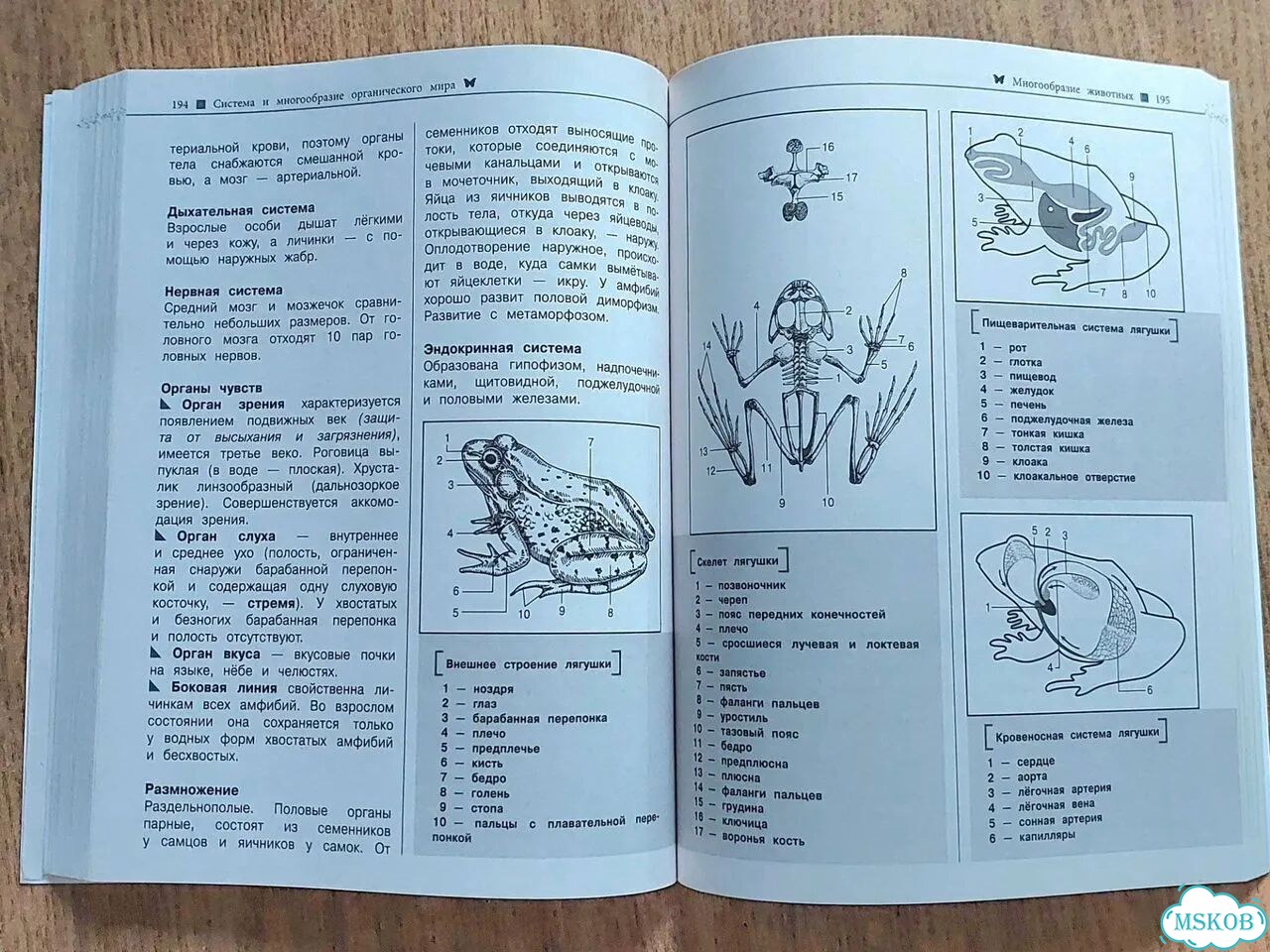 Наглядный справочник по биологии фото 5