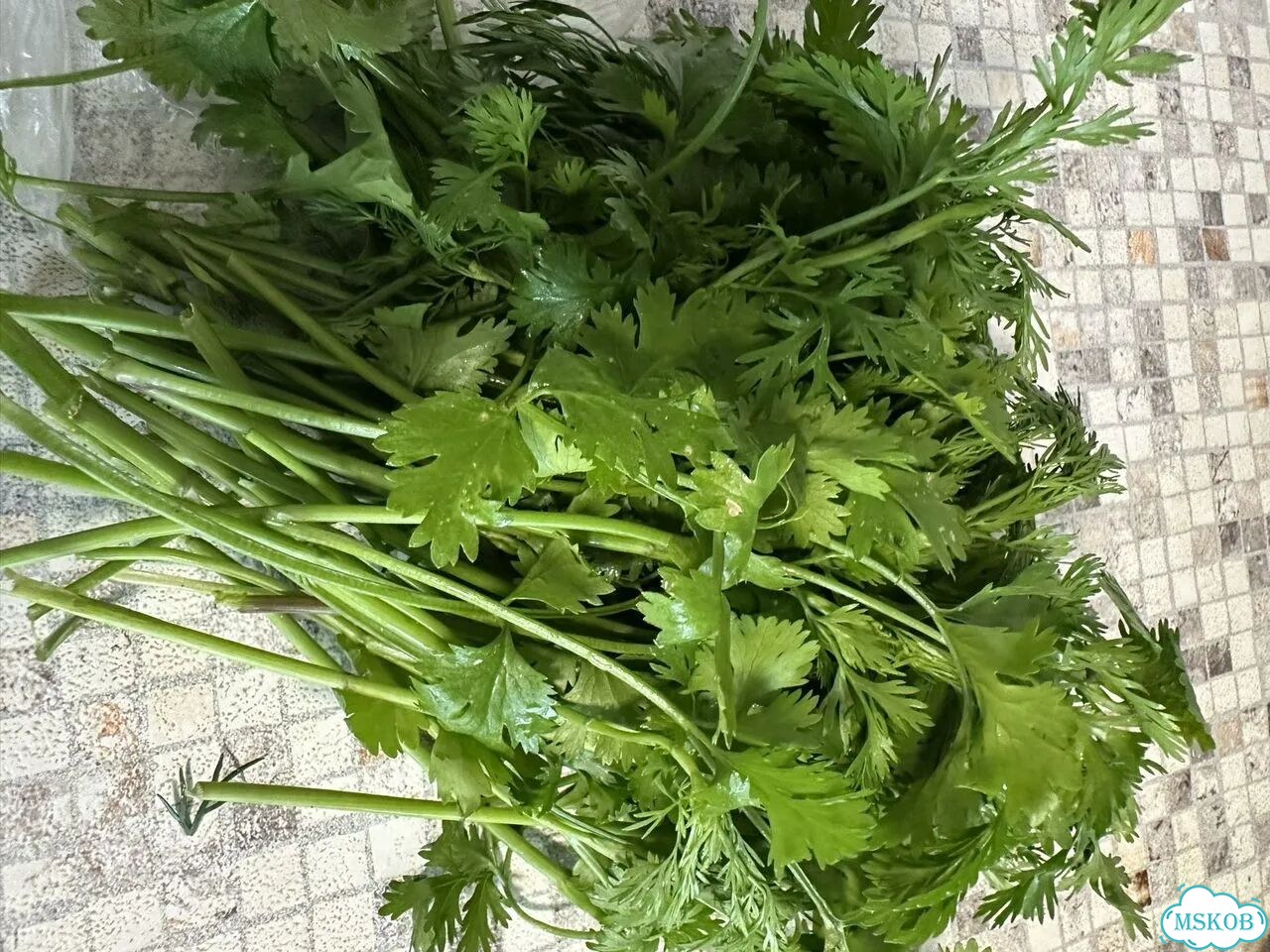 Свежая зелень, наблр для засолки фото 6