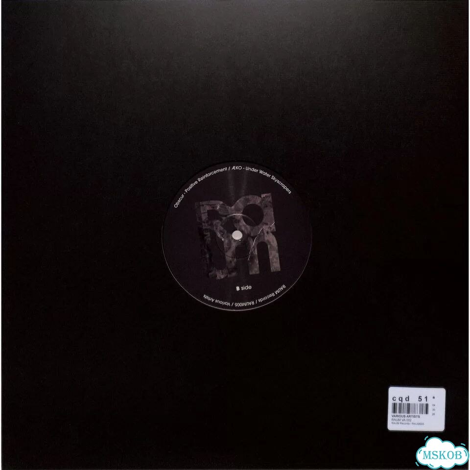 Various Artists - raum VA 002 фото 2