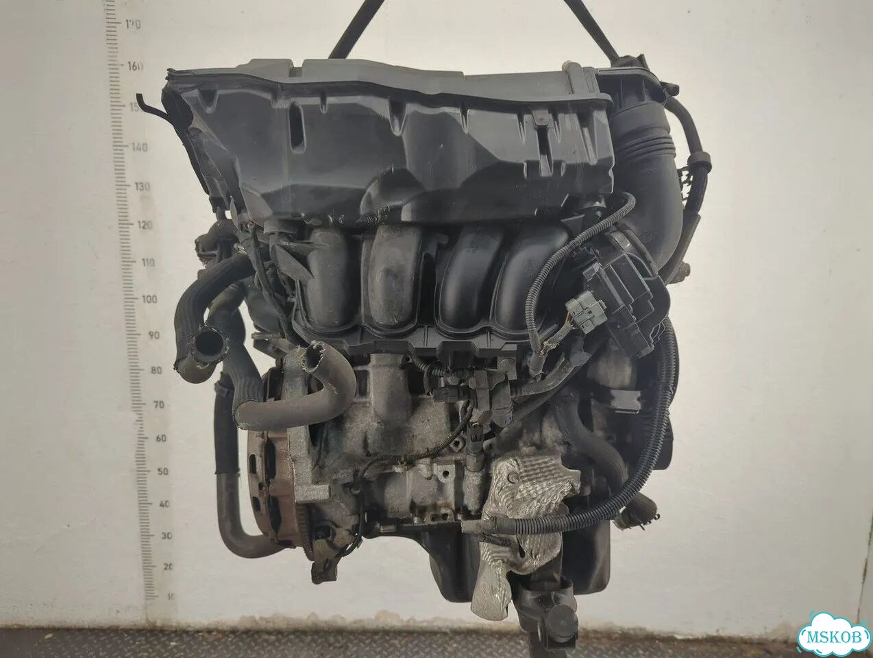 Двигатель Peugeot 308 5FW фото 4