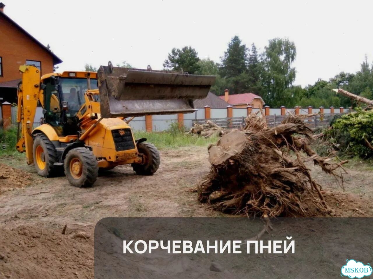 Расчистка участка / Спил деревьев фото 2