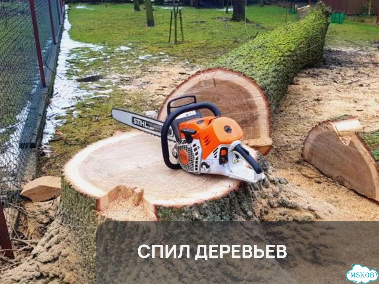 Расчистка участка / Спил деревьев фото 4