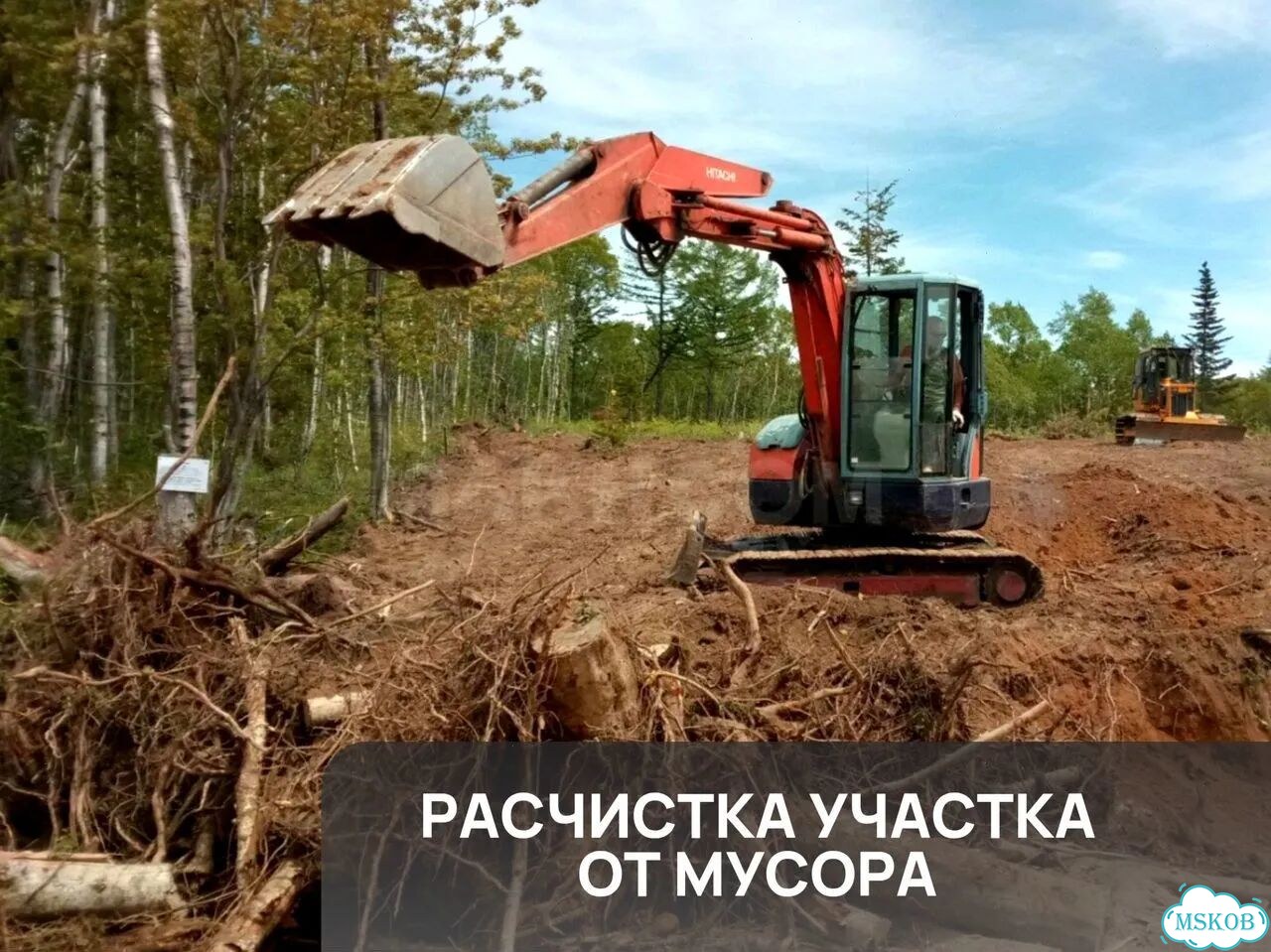 Расчистка участка / Спил деревьев фото 8