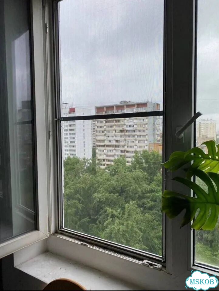 Москитные сетки антикошка фото 7