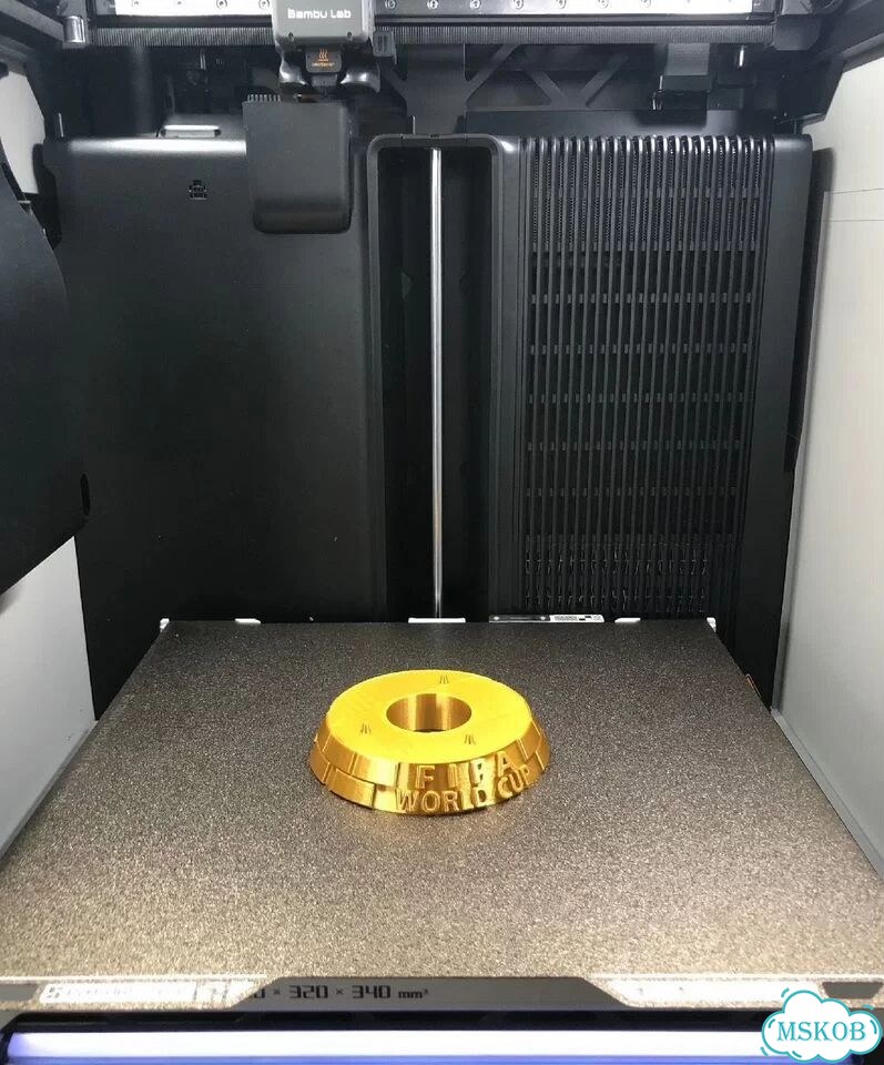 Кубок чемпионата мира по футболу фото 3