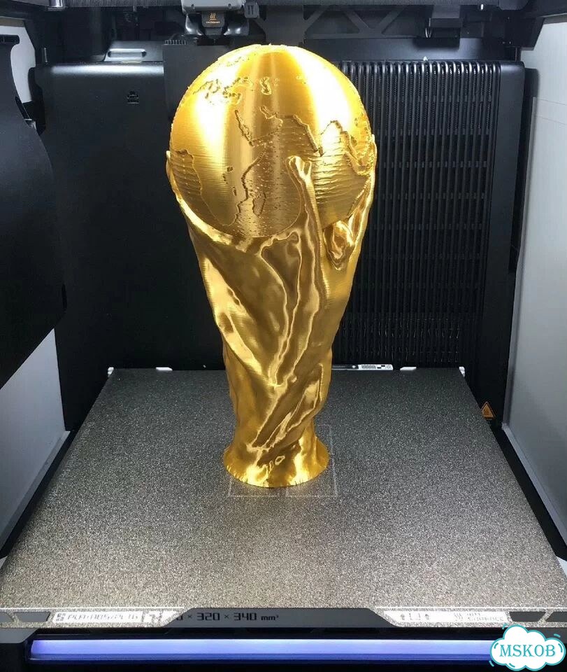 Кубок чемпионата мира по футболу фото 5