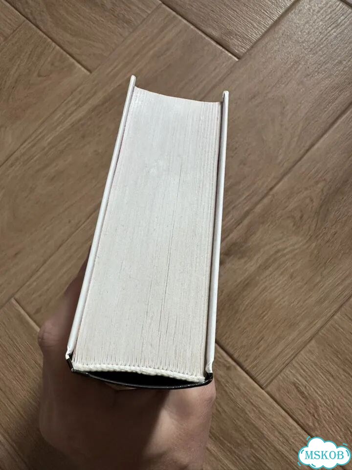 Джеймс Джойс Улисс фото 4
