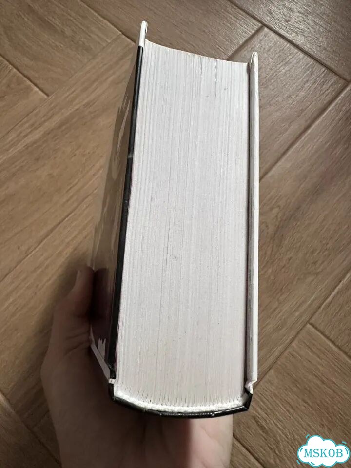 Джеймс Джойс Улисс фото 5