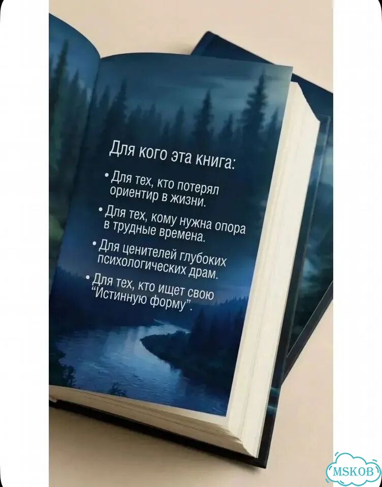 Книга Принцип Бакена фото 2