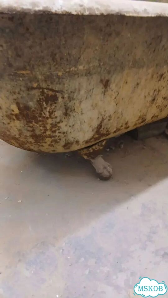 Продам ванну старинную чугунную на львиных ножках фото 2