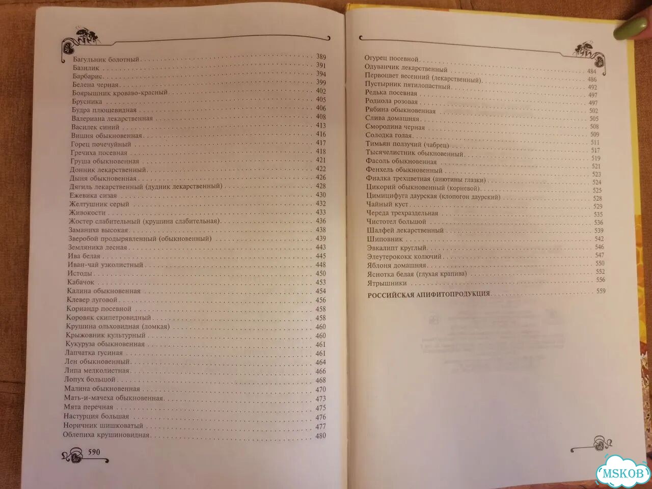 Книга подарочная Большой медовый лечебник фото 7