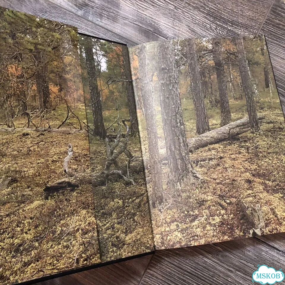 Tapiola 1: suuri suomalainen eräkirja фото 2