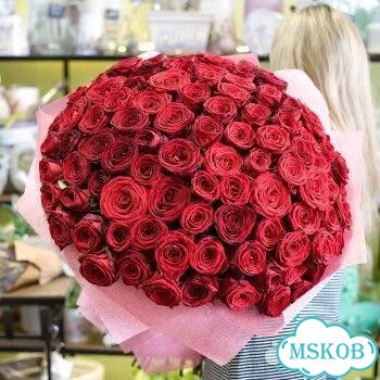 Цветы розы фото 1