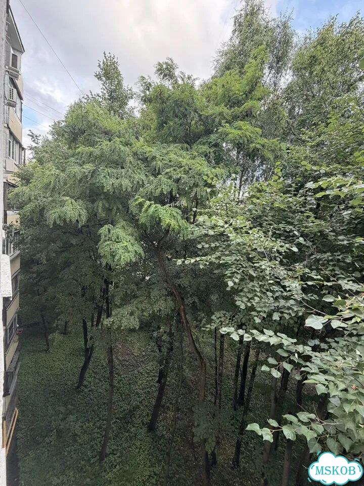 2-к. квартира, 45,5 м², 6/9 эт. фото 17