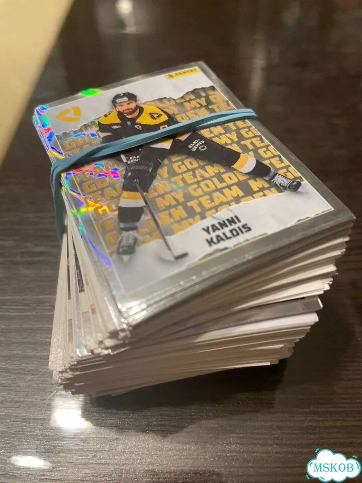 Наклейки Panini кхл 2025 2026 фото 1