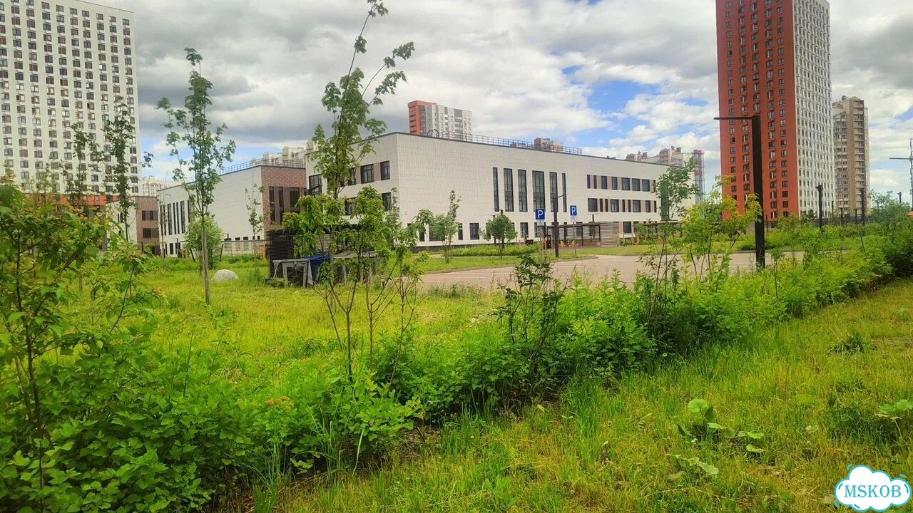 Квартира-студия, 19,8 м², 15/24 эт. фото 22