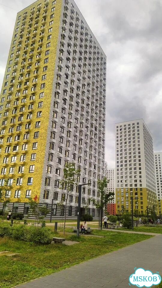 Квартира-студия, 19,8 м², 15/24 эт. фото 24
